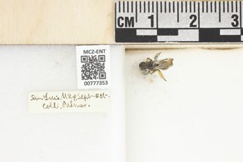 Media type: image;   Entomology 777353 Aspect: Labels